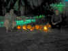 Trevor and Doug & the pumpkins.jpg (485060 bytes)