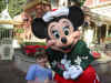 img_2406-fix.jpg (419719 bytes)