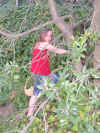 IMG_0947.JPG (1393953 bytes)