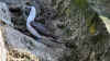 DSC_5112.jpg (1082230 bytes)
