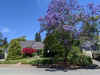 IMG_20200601_123105.jpg (6420197 bytes)