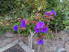 IMG_20200630_200855.jpg (5459086 bytes)