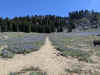 IMG_20200813_103649.jpg (7078869 bytes)