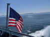 PXL_20201109_181533807.jpg (2464198 bytes)
