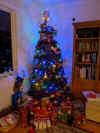 PXL_20201225_065604908.jpg (3407554 bytes)